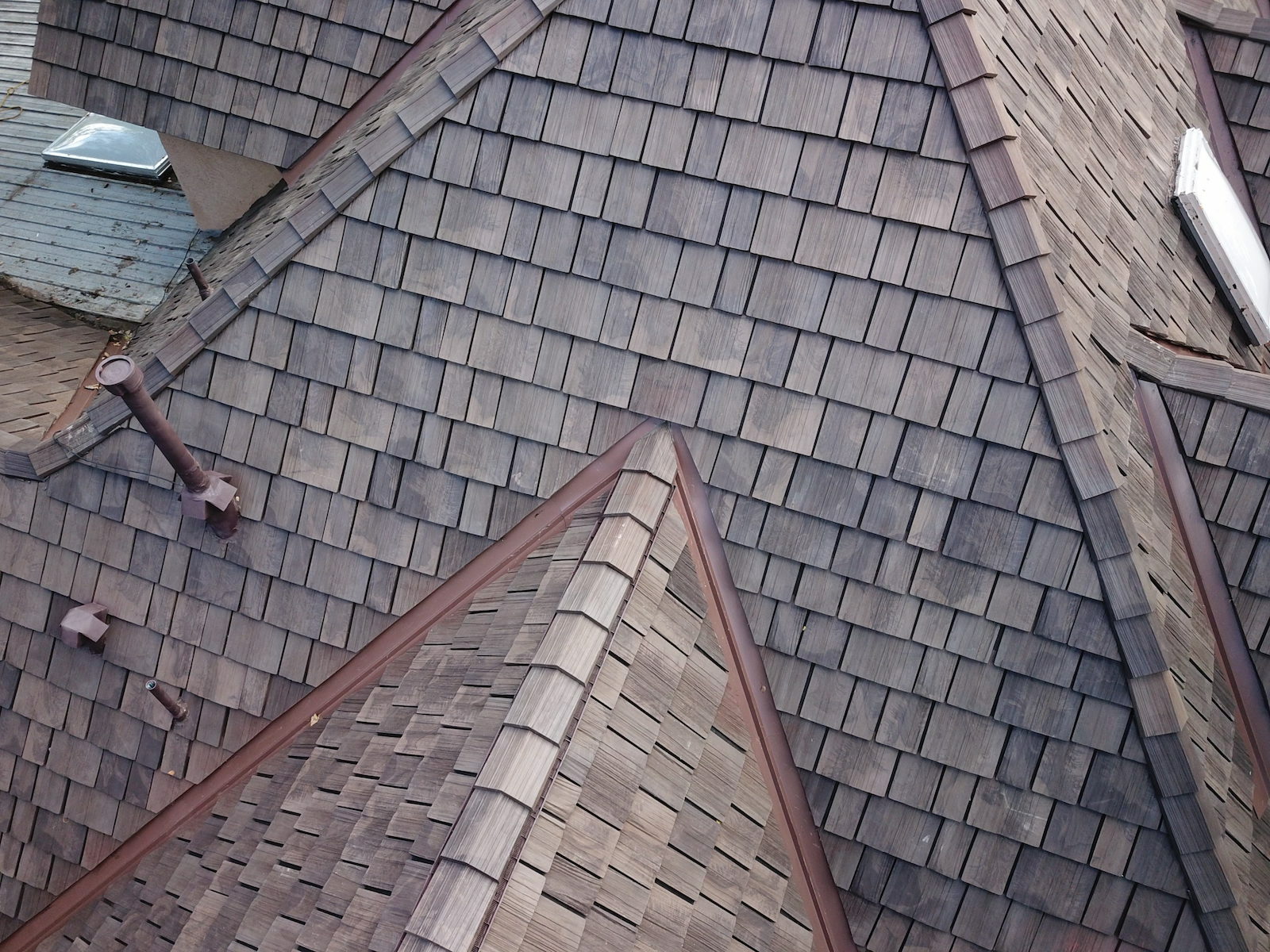 Moss treatment shingle roof Auckland