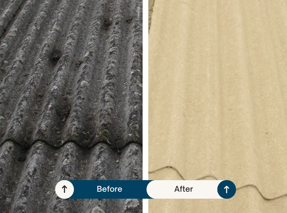 Roof Coatings & Paint