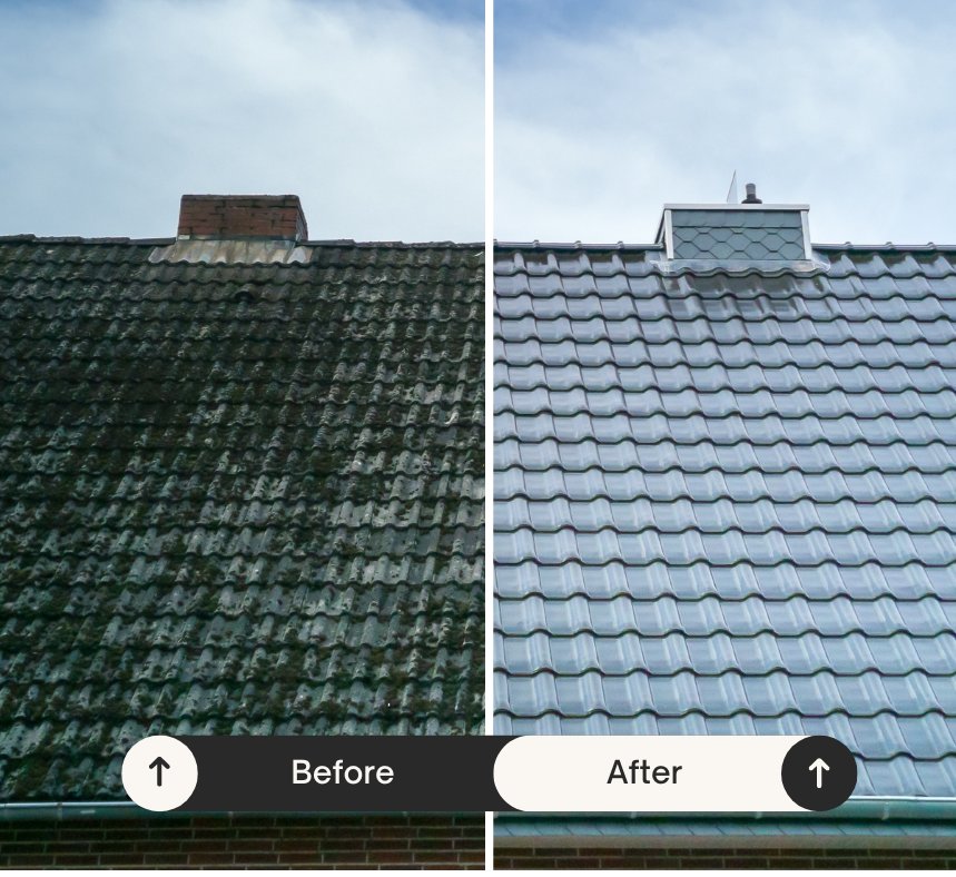Roof Painting Transformation