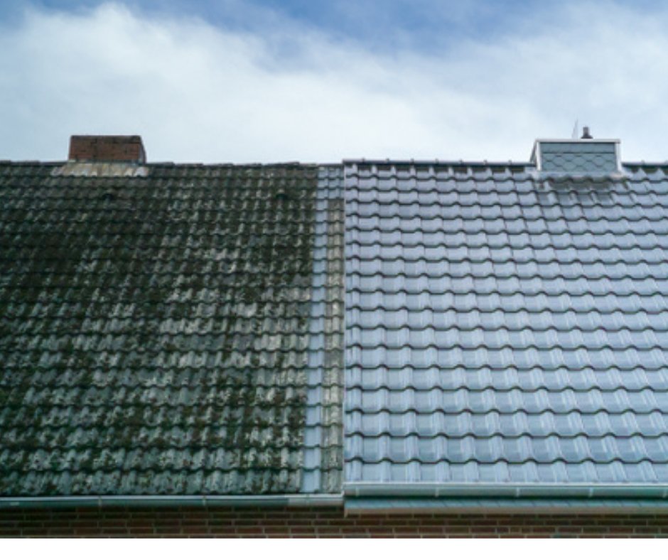 Roof painting - moss removal and clean coat