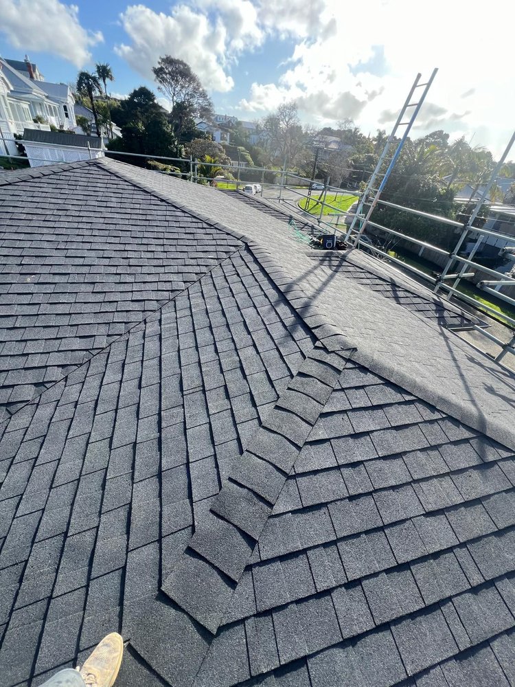 New shingle roof with neighbourhood backdrop
